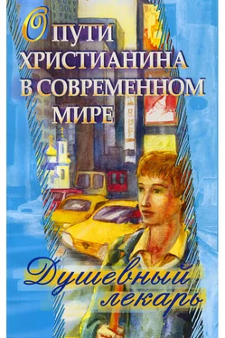 Дмитрий Семеник Душевный лекарь. О пути христианина в современном мире обложка книги