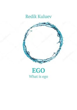 Redik Kuluev Ego. What is ego обложка книги