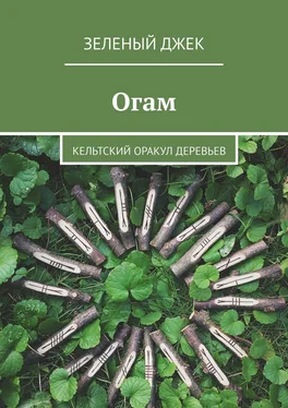 Зеленый Джек Огам. Кельтский оракул деревьев обложка книги