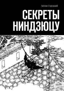 Антон Струцкий Секреты ниндзюцу обложка книги
