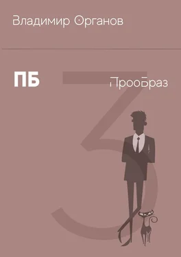 Владимир Органов ПБ – ПрооБраз обложка книги