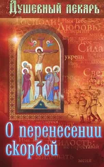 Дмитрий Семеник - Душевный лекарь. О перенесении скорбей