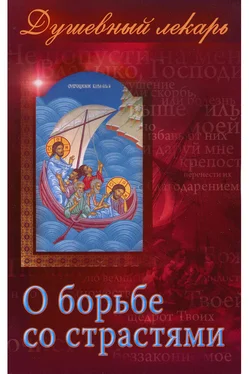 Дмитрий Семеник Душевный лекарь. О борьбе со страстями обложка книги