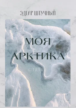 Эдгар Штучный Моя Арктика. Стихи обложка книги