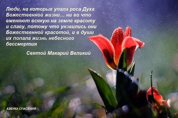 Поэтому и желают единой любви небесного Царя с великим вожделением Его Единого - фото 13