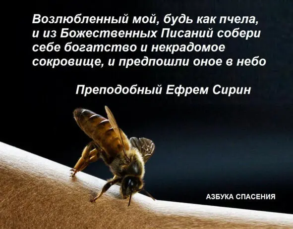 Инок Никодим Что есть богатство некрадомое Богатство некрадомое есть - фото 7