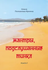 Олеся Полканова-Ярмина - Мантры, подслушанные Тинкл. Книга 1