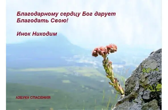 Преподобный Петр Дамаскин Насколько человек благодарит Бога настолько и Бог - фото 8