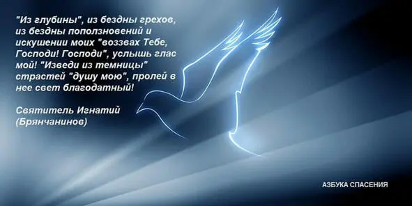 Господи Не на мою силу уповаю падения мои научают меня познавать немощь мою - фото 8