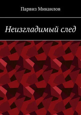 Парвиз Микаилов Неизгладимый след обложка книги