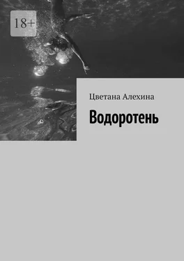 Цветана Алехина Водоротень обложка книги