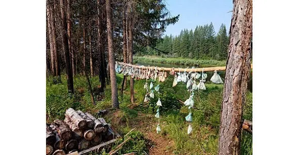Сушка мешочков со шлихами Ночевка у костра Както меня послали с - фото 32