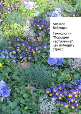 Алексей Бабинцев Технология «Хорошее настроение». Как победить стресс обложка книги