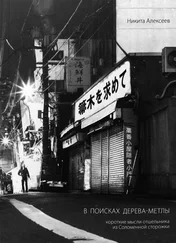 Никита Алексеев - В поисках Дерева-Метлы. Короткие мысли отшельника из Соломенной сторожки