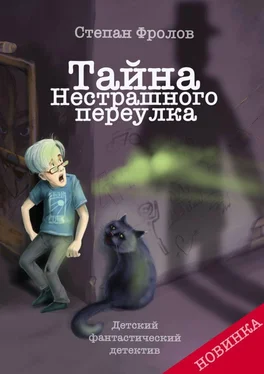 Степан Фролов Тайна Нестрашного переулка обложка книги