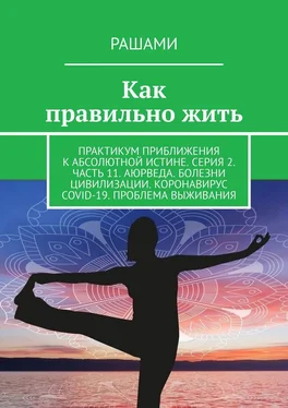 Рашами Как правильно жить. Практикум приближения к абсолютной истине. Серия 2. Часть 11. Аюрведа. Болезни цивилизации. Коронавирус COVID-19. Проблема выживания обложка книги