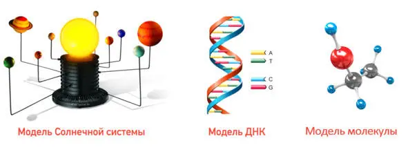 Рис 3 Несколько наиболее известных моделей Например элементы ДНК пары - фото 6
