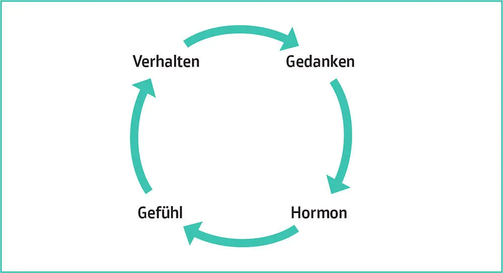 Wenn wir unsere grundsätzliche Gefühlslage verbessern möchten lohnt es sich - фото 6