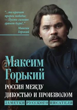 Максим Горький Россия между дикостью и произволом. Заметки русского писателя обложка книги