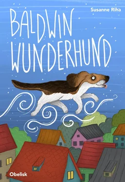 Susanne Riha Baldwin Wunderhund обложка книги