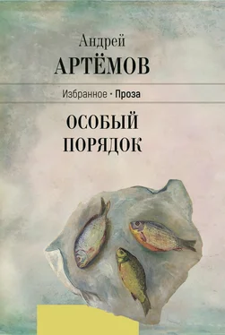 Андрей Артёмов Особый порядок обложка книги