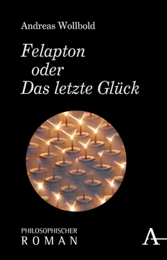 Andreas Wollbold Felapton oder Das letzte Glück обложка книги