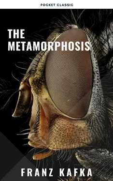 Franz Kafka The Metamorphosis обложка книги