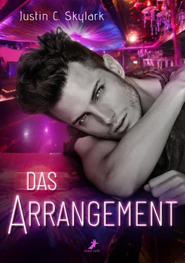 Justin C. Skylark Das Arrangement обложка книги