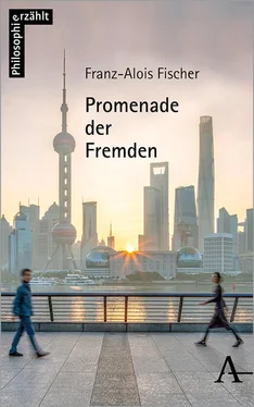 Franz-Alois Fischer Promenade der Fremden обложка книги
