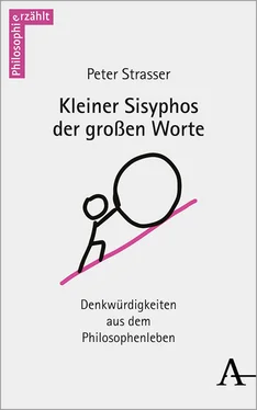 Peter Strasser Kleiner Sisyphos der großen Worte обложка книги