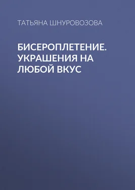 Татьяна Шнуровозова Бисероплетение. Украшения на любой вкус обложка книги