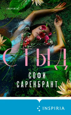 Софи Саренбрант Стыд обложка книги