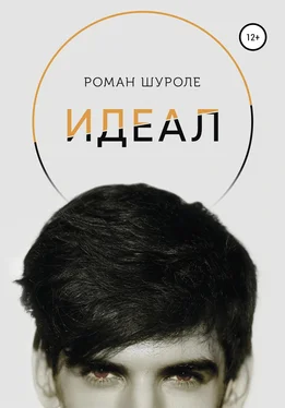 Роман Шуроле Идеал обложка книги