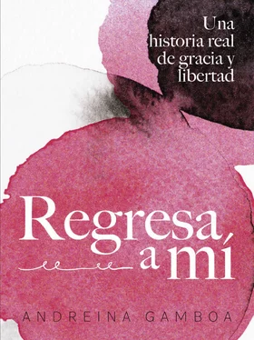 Andreína Gamboa Regresa a mí обложка книги