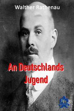 Walther Rathenau An Deutschlands Jugend обложка книги
