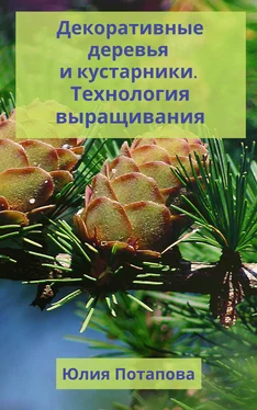 Юлия Потапова Декоративные деревья и кустарники. Технологии выращивания обложка книги