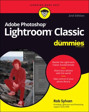 Rob Sylvan Adobe Photoshop Lightroom Classic For Dummies обложка книги
