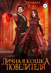 Элинара Фокс - Личная кошка Повелителя