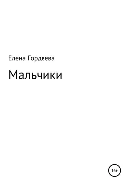 Елена Гордеева Мальчики обложка книги