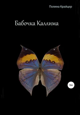 Полина Крайцер Бабочка Каллима обложка книги