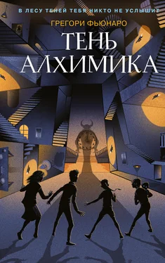 Грегори Фьюнаро Тень алхимика обложка книги