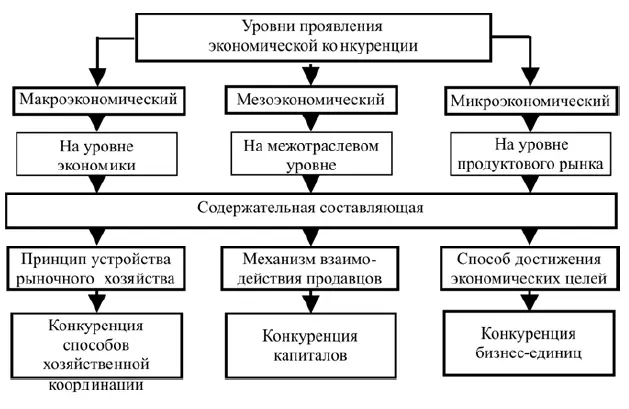 Рис 41 Структура конкурентной системы Устройство системы конкуренции - фото 16