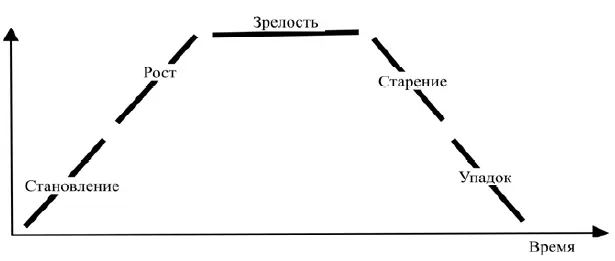 Рис 613 Жизненный цикл организации Каждая стадия ЖЦО имеет свои особенности - фото 39