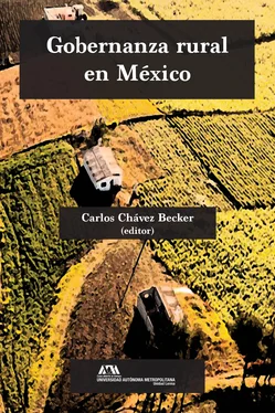 Alma Patricia de León Calderón Gobernanza rural en México обложка книги