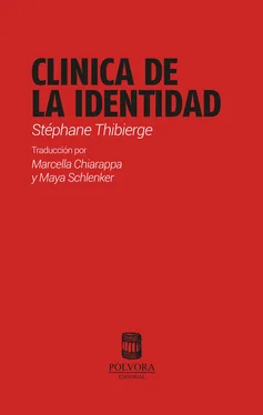 Stéphane Thibierge Clinica de la identidad обложка книги