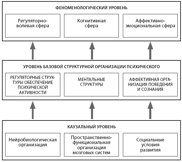 Рис 51 Трехкомпонентная модель анализа психического развития По ее мнению - фото 16