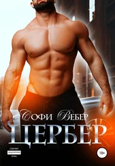 Софи Вебер - Цербер
