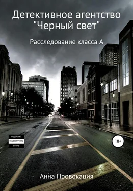 Анна Провокация Детективное агентство «Черный свет» обложка книги