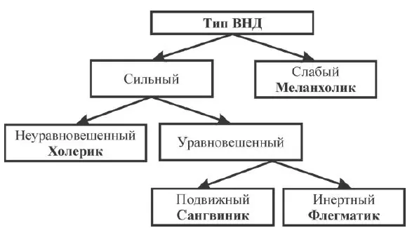 Влияние особенностей темперамента на восприятие жизненной ситуации рисунок Х - фото 12