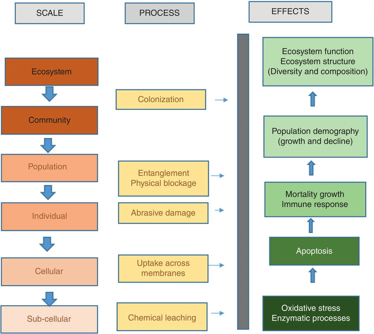 Figure 22 Ecological effects of plastics Source adapted and modified from - фото 8